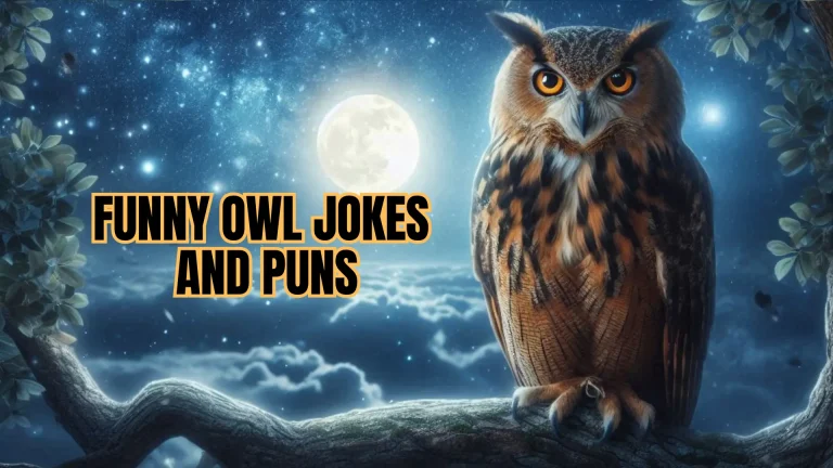 Owl Jokes
