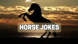 Horse Jokes